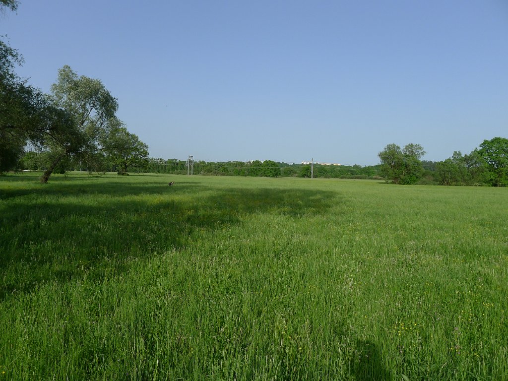 PavlaCzechVisit 093